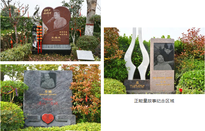 AG真人国际(中国)官方网站