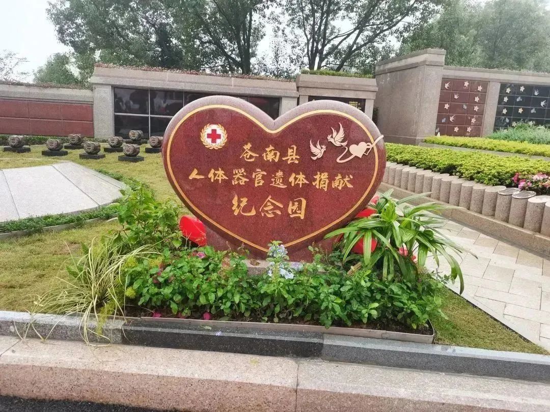 AG真人国际(中国)官方网站
