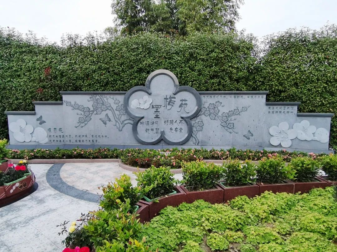 AG真人国际(中国)官方网站