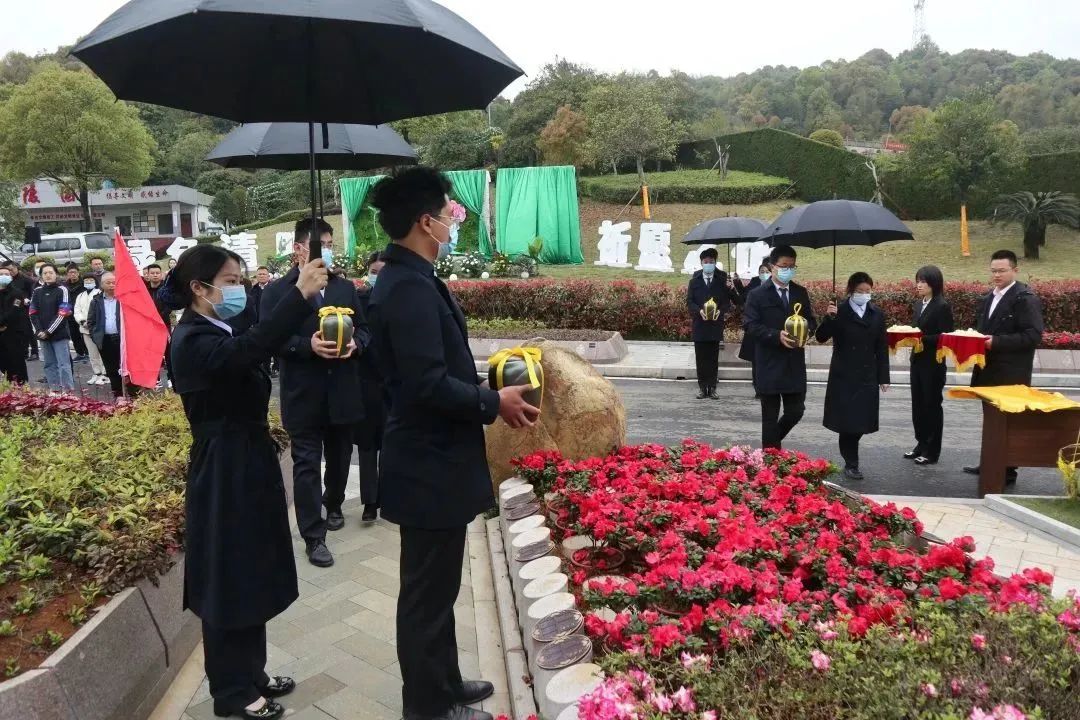 AG真人国际(中国)官方网站