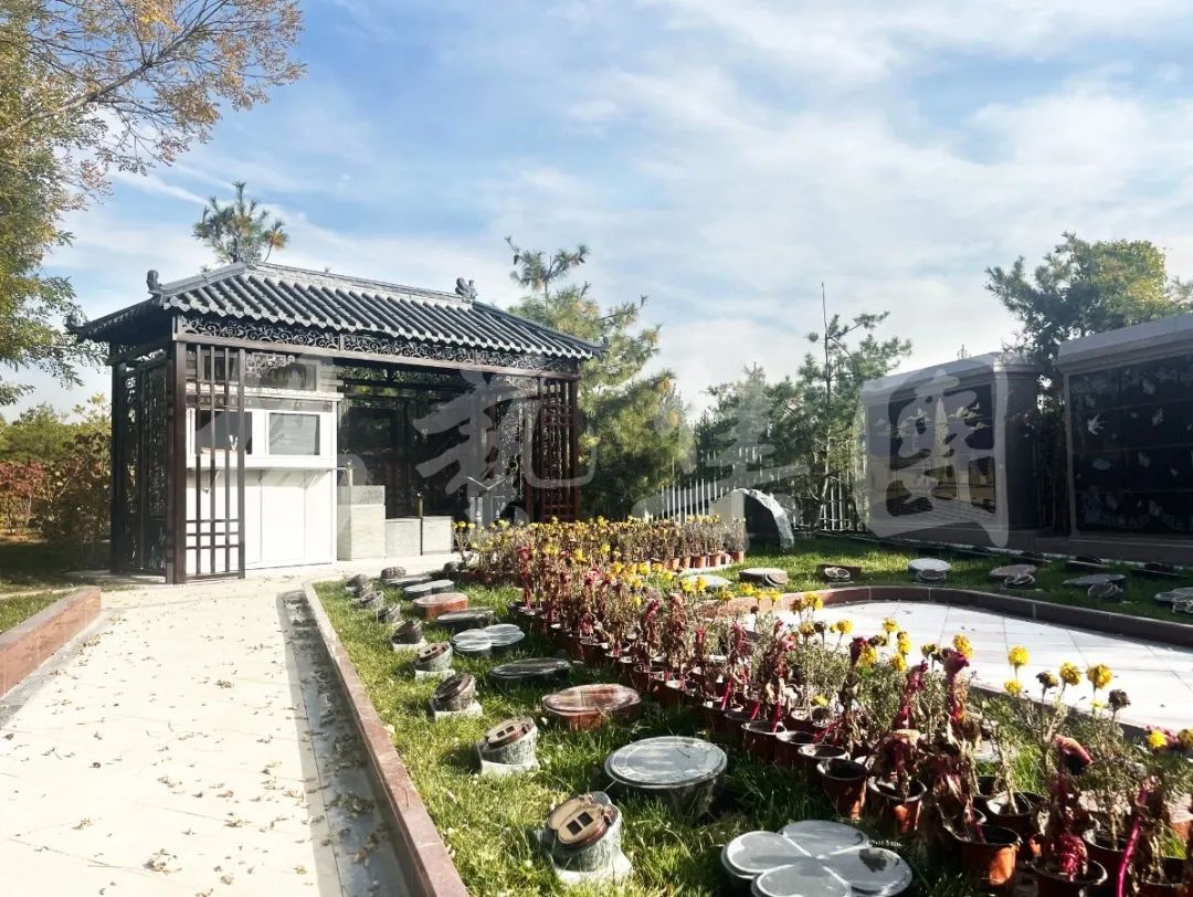 AG真人国际(中国)官方网站