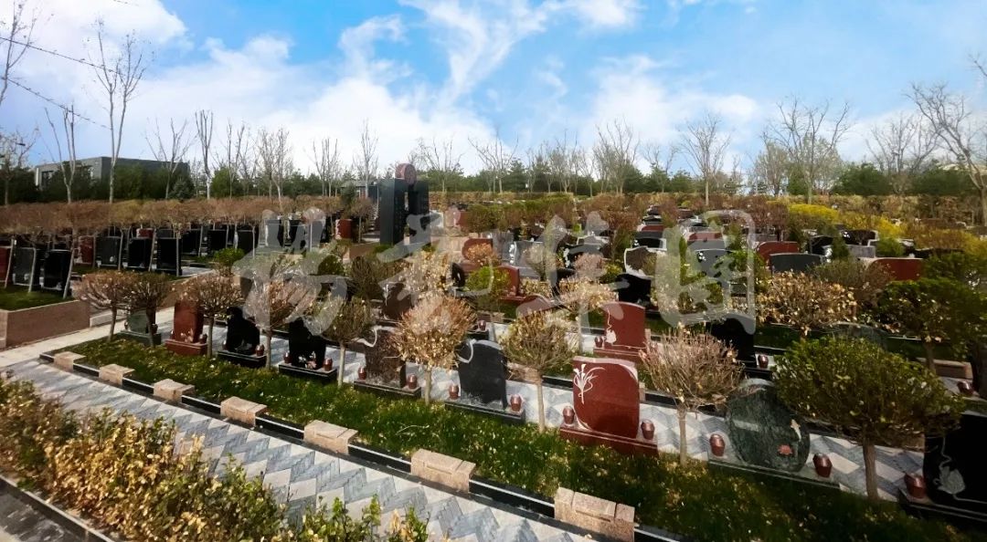 AG真人国际(中国)官方网站