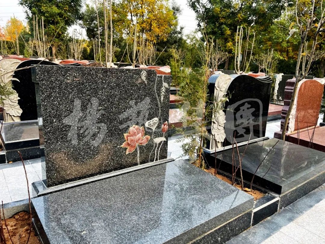 AG真人国际(中国)官方网站