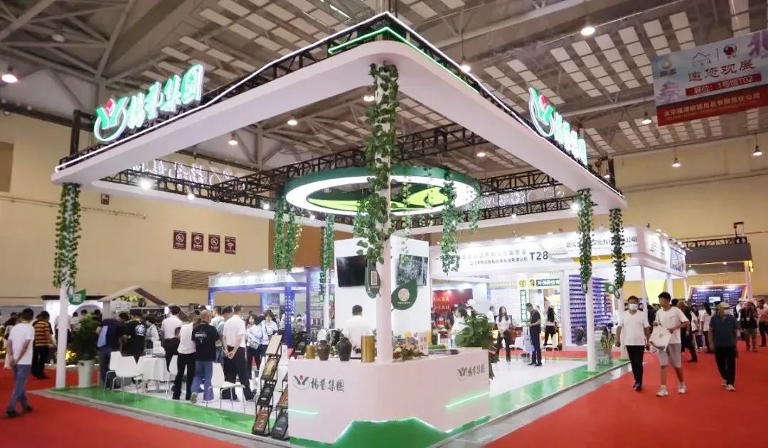 AG真人国际(中国)官方网站