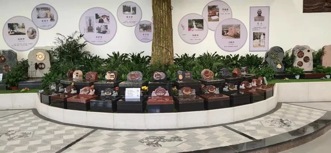 AG真人国际(中国)官方网站