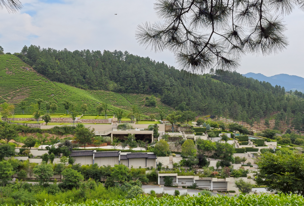 AG真人国际(中国)官方网站