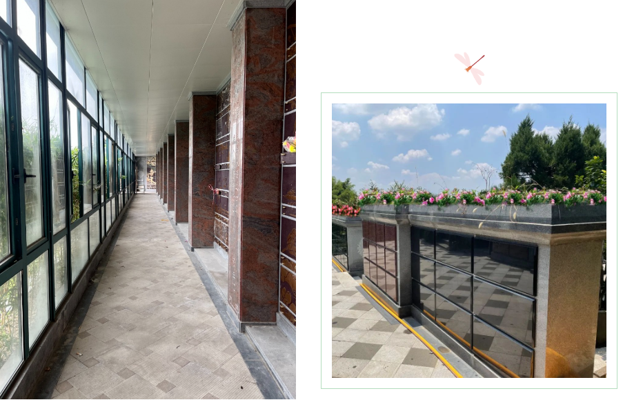 AG真人国际(中国)官方网站