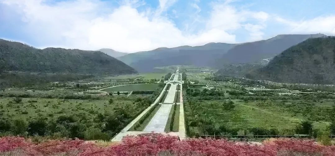 AG真人国际(中国)官方网站