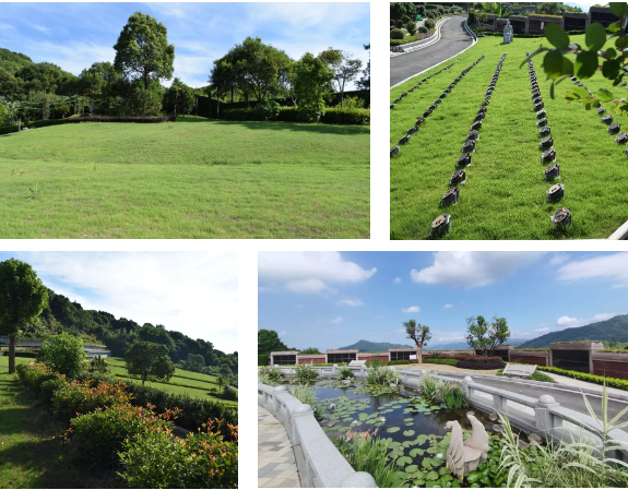 AG真人国际(中国)官方网站