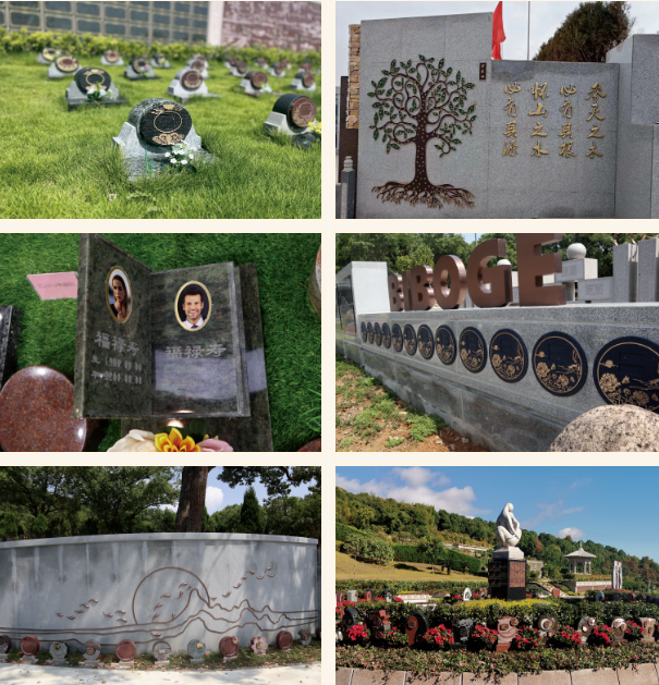 AG真人国际(中国)官方网站