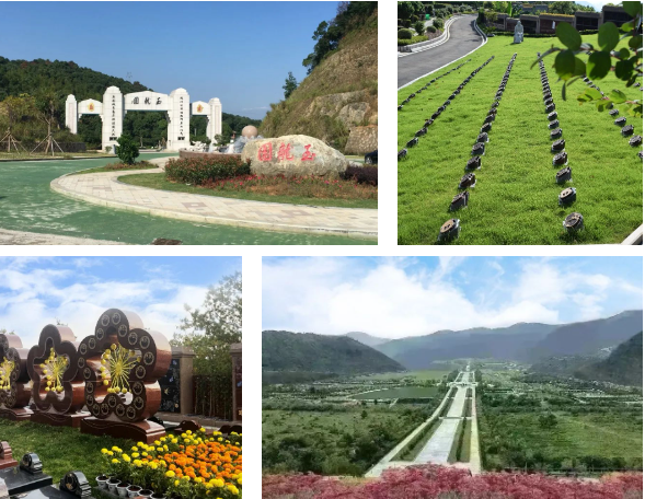 AG真人国际(中国)官方网站