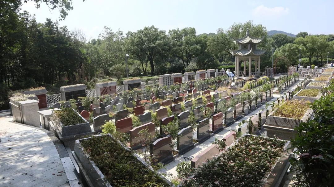 AG真人国际(中国)官方网站