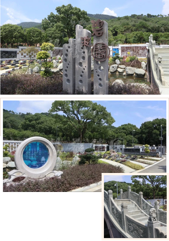 AG真人国际(中国)官方网站