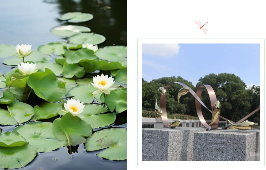 AG真人国际(中国)官方网站