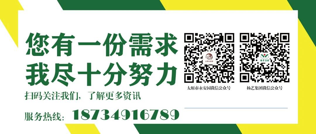 AG真人国际(中国)官方网站