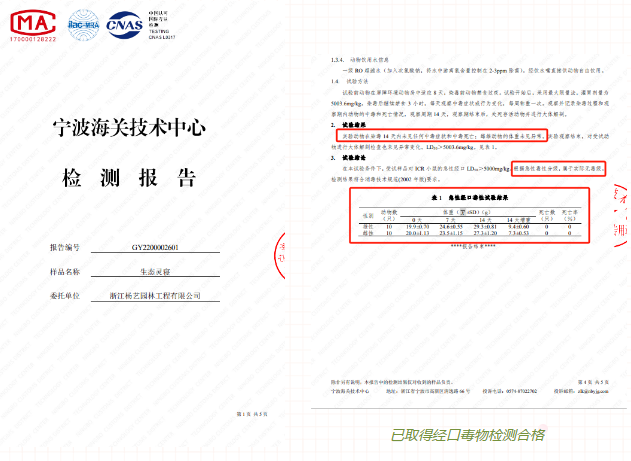 AG真人国际(中国)官方网站