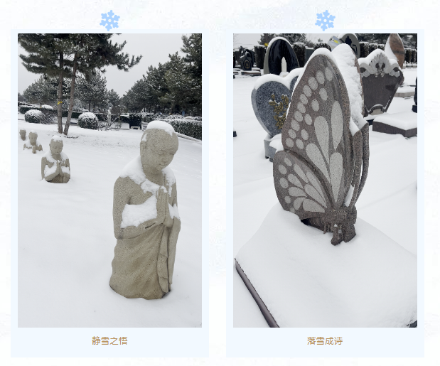 AG真人国际(中国)官方网站