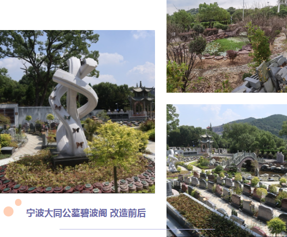 AG真人国际(中国)官方网站