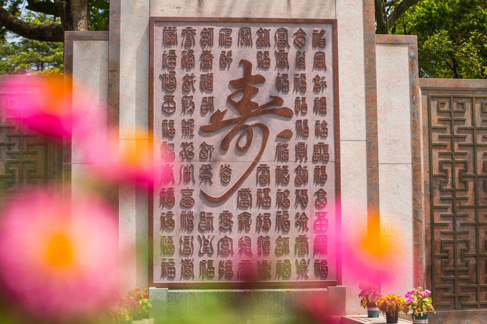 AG真人国际(中国)官方网站