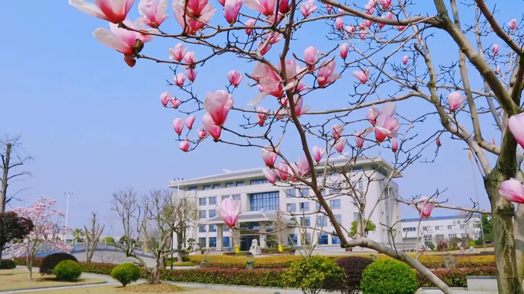 AG真人国际(中国)官方网站