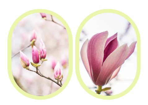 AG真人国际(中国)官方网站