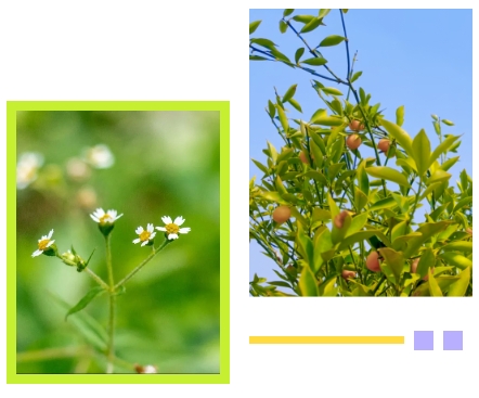 AG真人国际(中国)官方网站