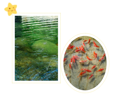 AG真人国际(中国)官方网站