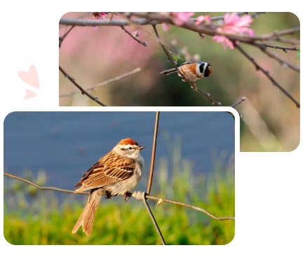 AG真人国际(中国)官方网站