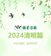 风起清明 遥寄相思|ag真人国际集团?2024清明篇