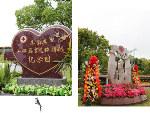 AG真人国际(中国)官方网站