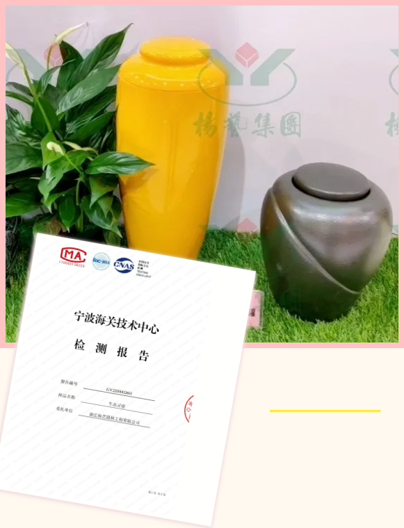 AG真人国际(中国)官方网站
