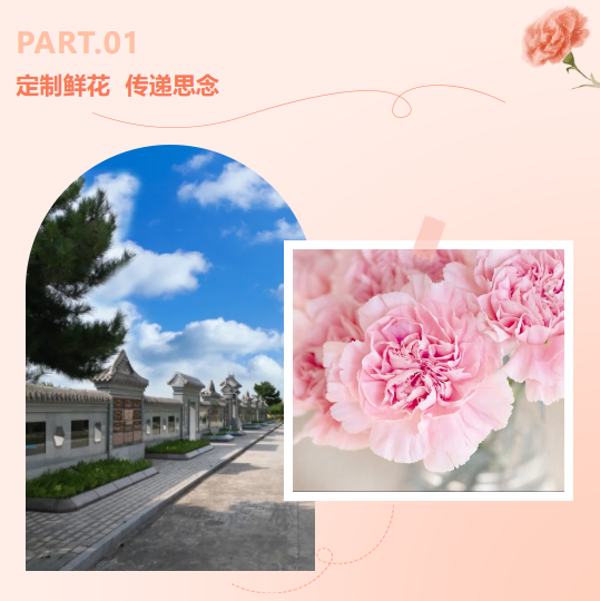 AG真人国际(中国)官方网站