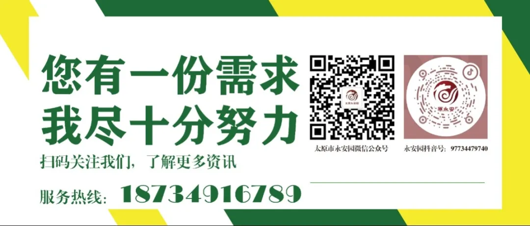 AG真人国际(中国)官方网站