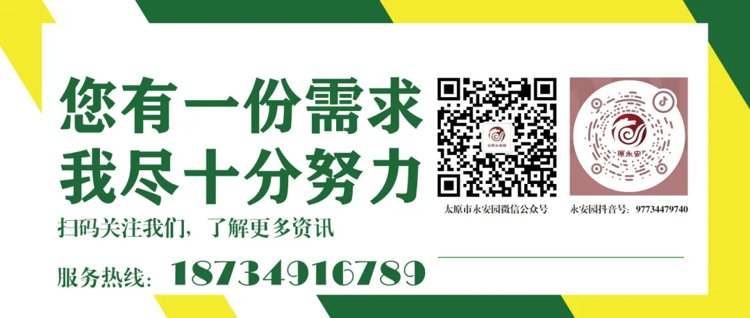 AG真人国际(中国)官方网站