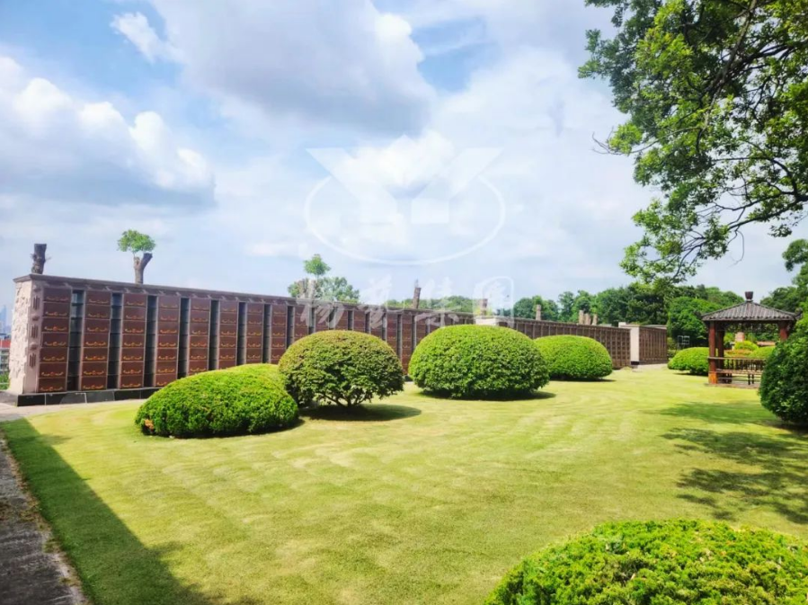 AG真人国际(中国)官方网站