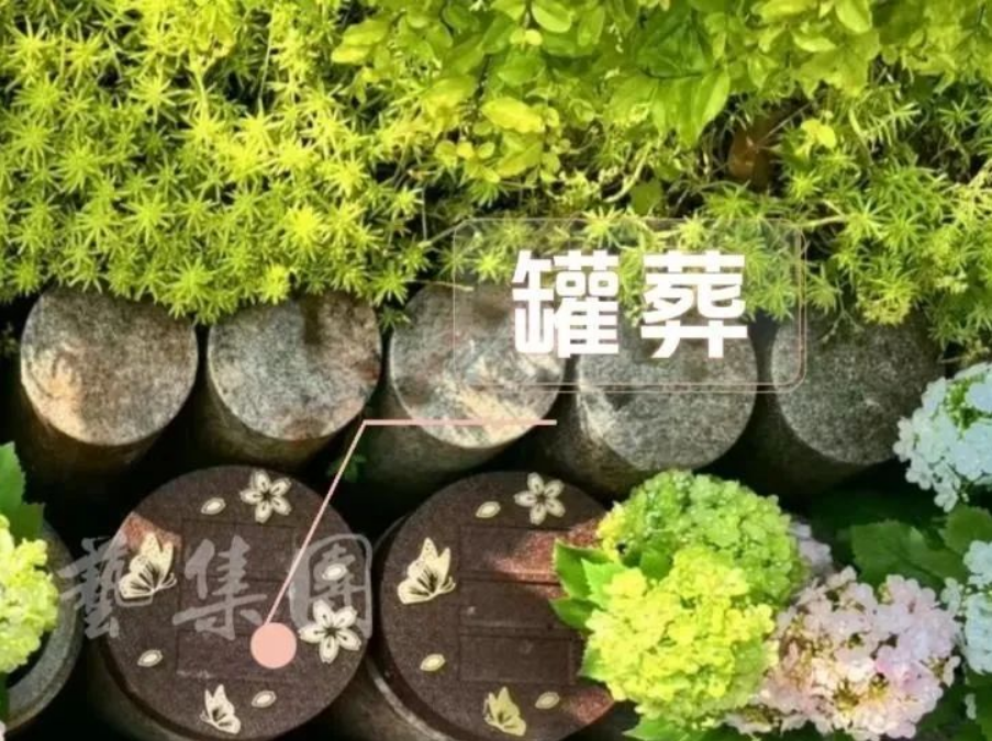 AG真人国际(中国)官方网站