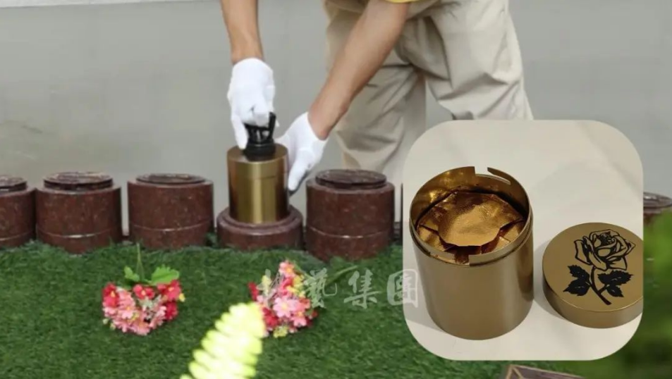 AG真人国际(中国)官方网站