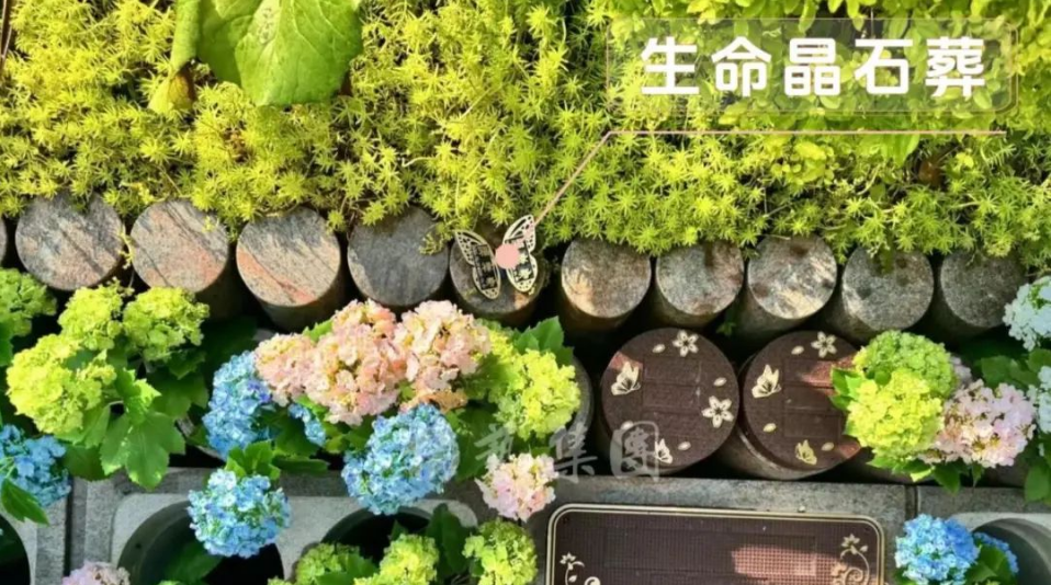 AG真人国际(中国)官方网站