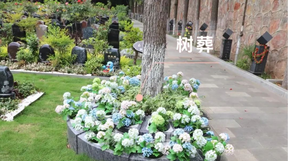 AG真人国际(中国)官方网站