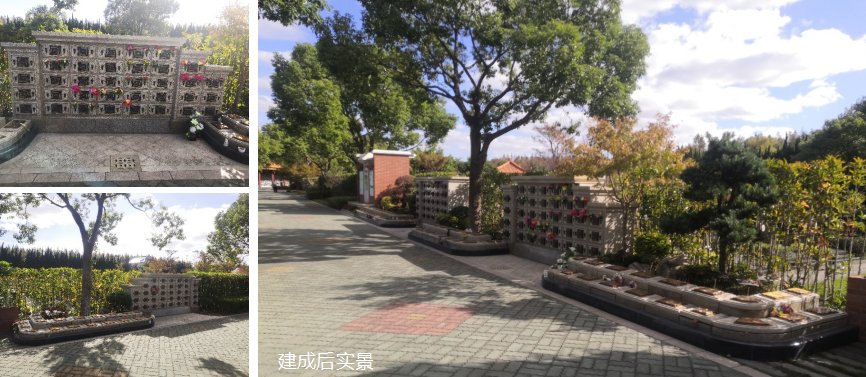 AG真人国际(中国)官方网站