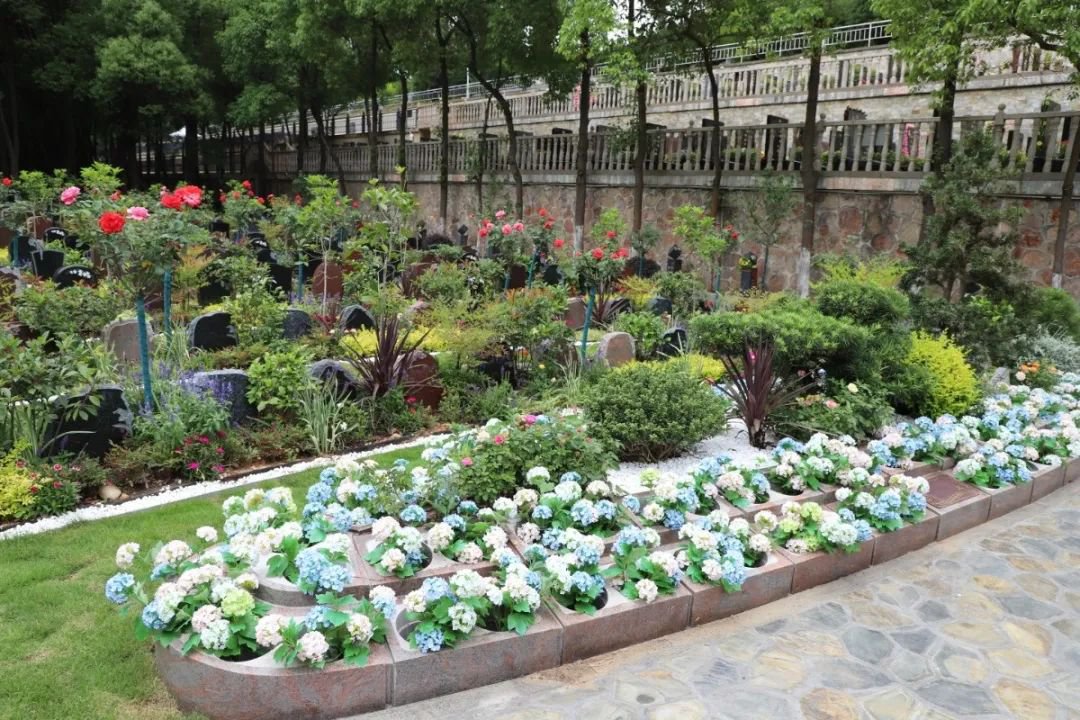 AG真人国际(中国)官方网站