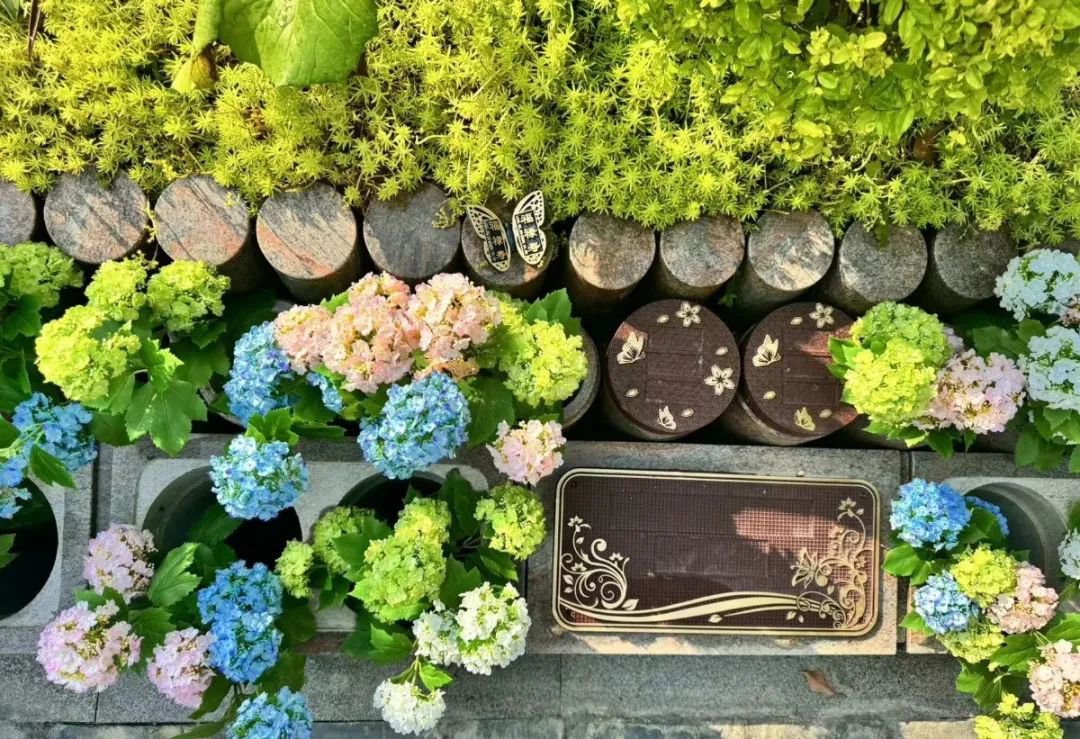 AG真人国际(中国)官方网站