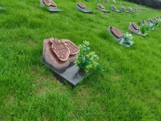 AG真人国际(中国)官方网站