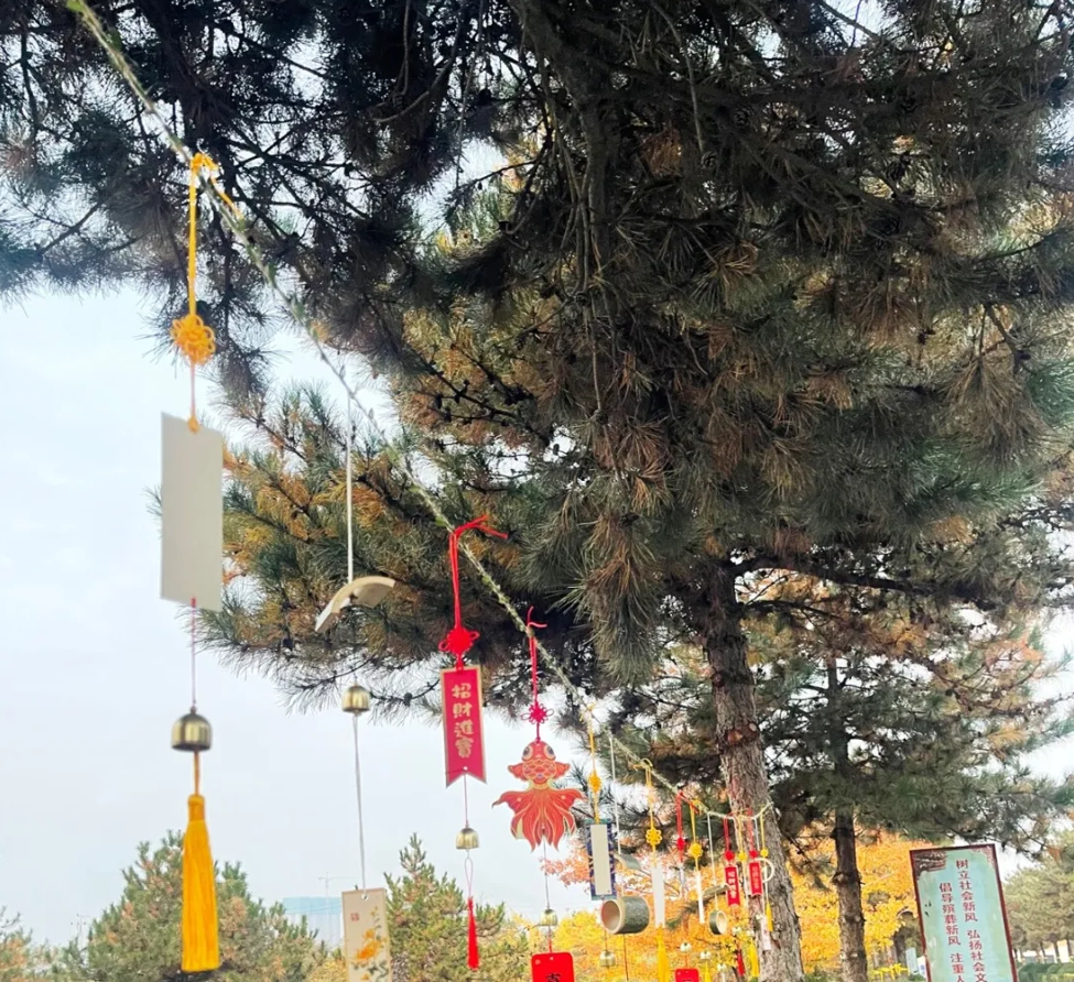 AG真人国际(中国)官方网站
