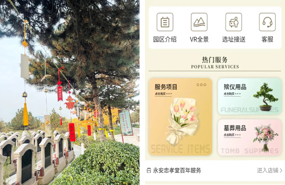 AG真人国际(中国)官方网站