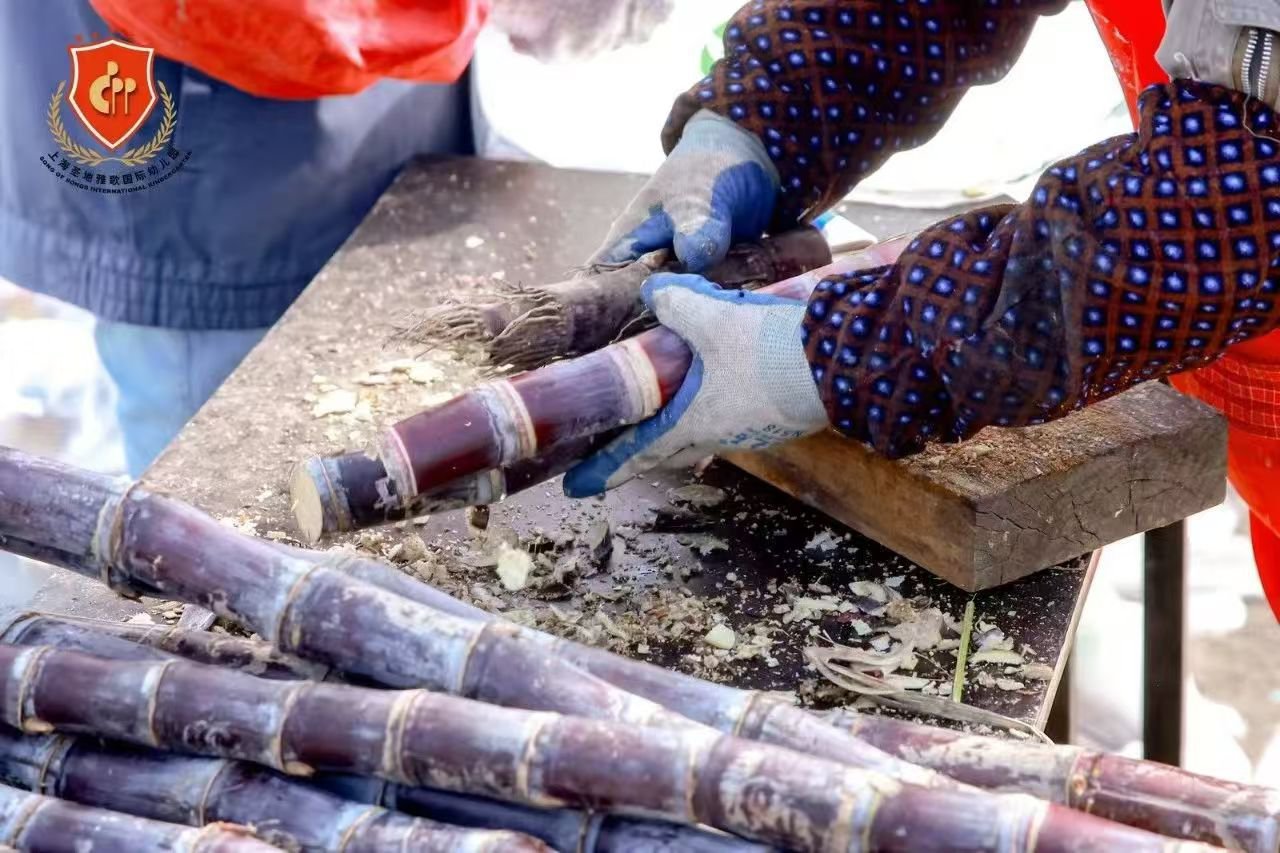 AG真人国际(中国)官方网站