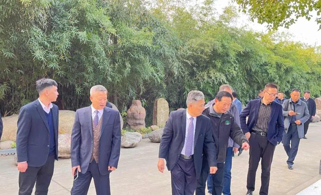 AG真人国际(中国)官方网站