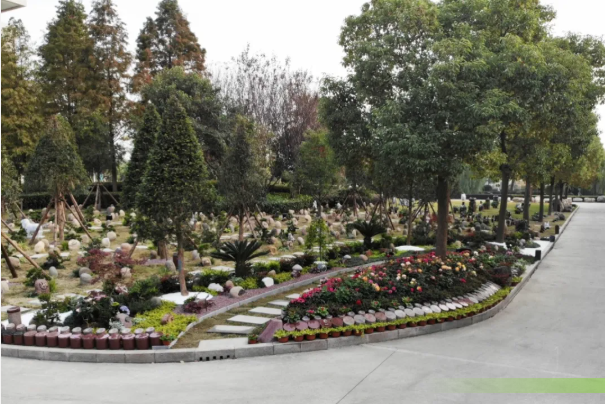 AG真人国际(中国)官方网站