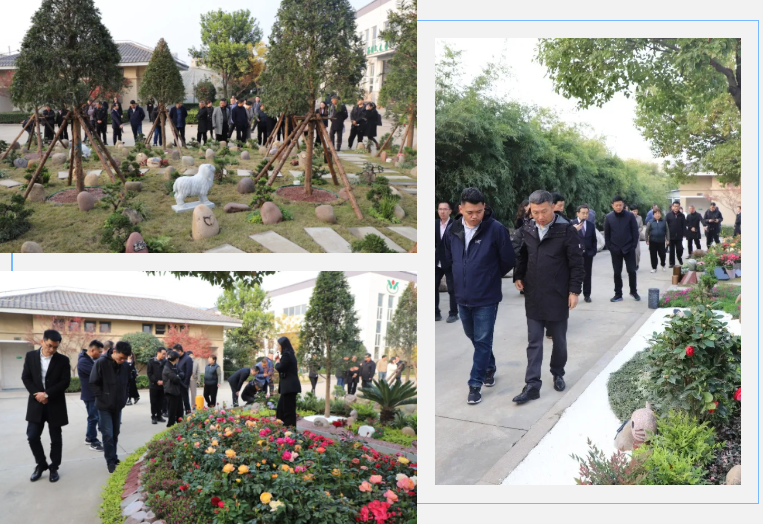 AG真人国际(中国)官方网站