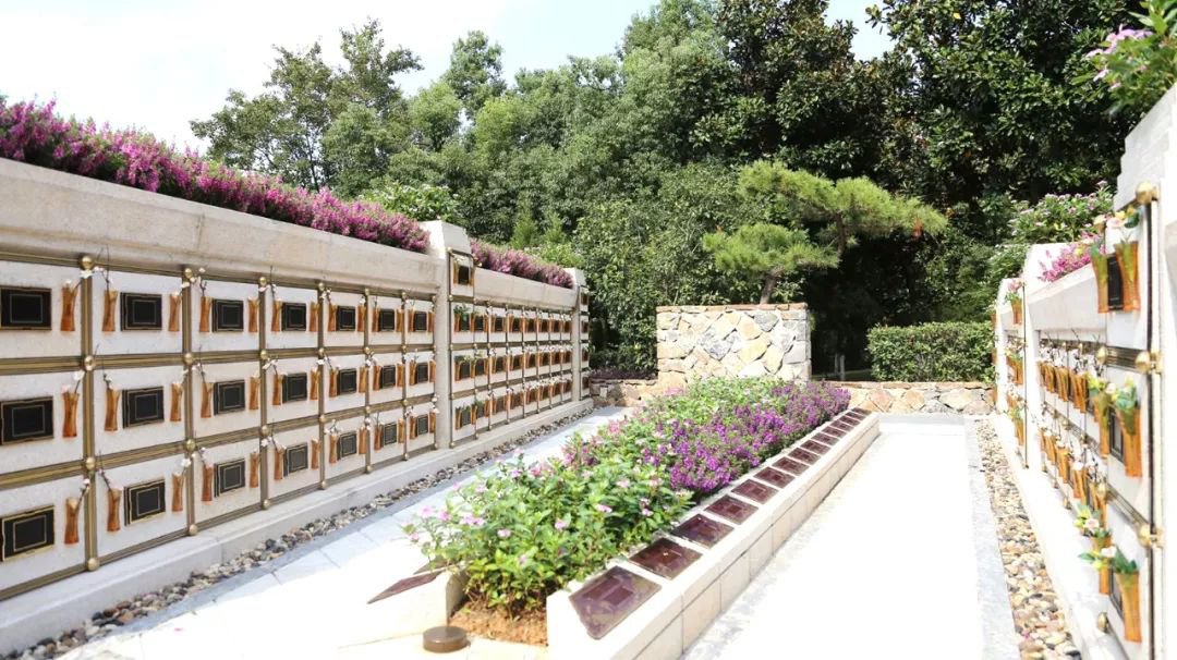 <b>在合肥大蜀山文化陵园，，，，，，与生命温柔对话</b>